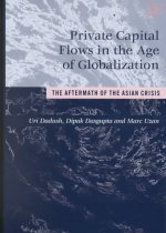 Private Capital Flows in the Age of Globalizatio - The Aftermath of the Asian Crisis