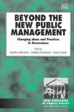 Beyond the New Public Management