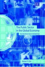 Public Sector in the Global Economy