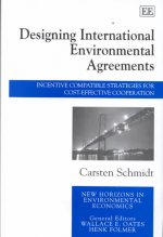 Designing International Environmental Agreements