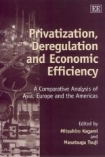 Privatization, Deregulation and Economic Efficiency