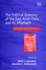 Political Economy of the East Asian Crisis and its Aftermath