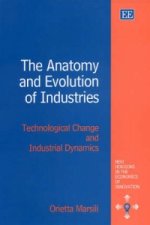 Anatomy and Evolution of Industries - Technological Change and Industrial Dynamics