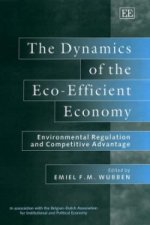 Dynamics of the Eco-Efficient Economy