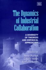 Dynamics of Industrial Collaboration