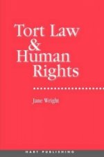 Tort Law and Human Rights