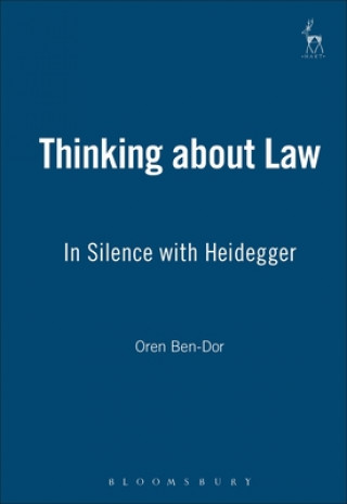Thinking about Law