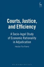 Courts, Justice, and Efficiency