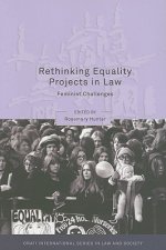 Rethinking Equality Projects in Law