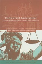 Multicultural Jurisprudence