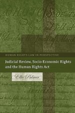 Judicial Review, Socio-Economic Rights and the Human Rights Act