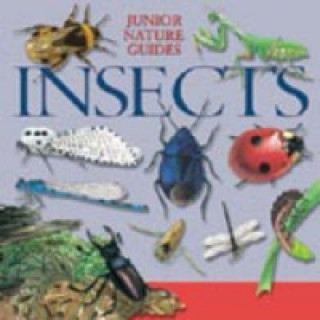 Insects