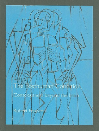 Posthuman Condition