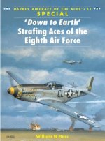 Down to Earth Strafing Aces of the Eighth Air Force