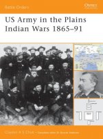 US Army in the Plains Indian Wars, 1865 - 91