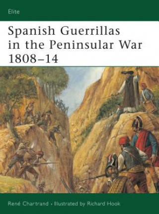Spanish Guerrilla in the Peninsular War