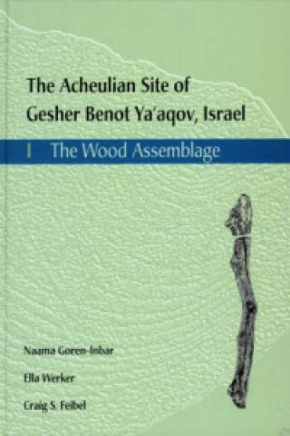 Acheulian Site of Gesher Benot Ya'akov, Israel