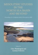 Mesolithic Studies In The North Sea Basin And Beyond