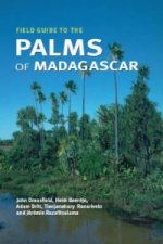 Field Guide to the Palms of Madagascar
