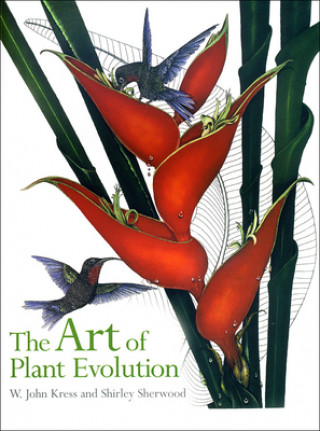 Art of Plant Evolution, The