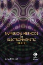 Numerical Methods in Electromagnetic Fields