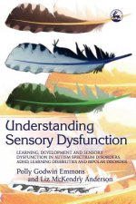 Understanding Sensory Dysfunction