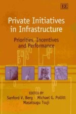 Private Initiatives in Infrastructure - Priorities, Incentives and Performance