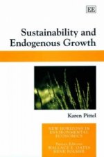 Sustainability and Endogenous Growth