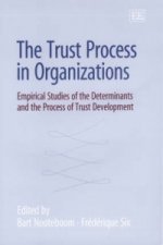 Trust Process in Organizations