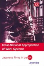 Cross-National Appropriation of Work Systems