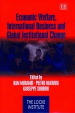 Economic Welfare, International Business and Global Institutional Change