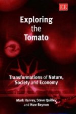 Exploring the Tomato