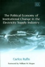 Political Economy of Institutional Change in the Electricity Supply Industry