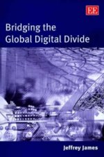 Bridging the Global Digital Divide