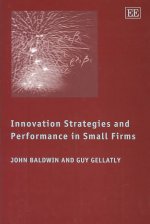 Innovation Strategies and Performance in Small Firms