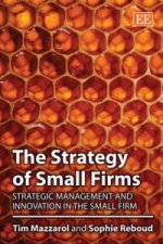 Strategy of Small Firms