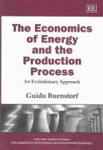 Economics of Energy and the Production Process