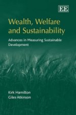 Wealth, Welfare and Sustainability - Advances in Measuring Sustainable Development
