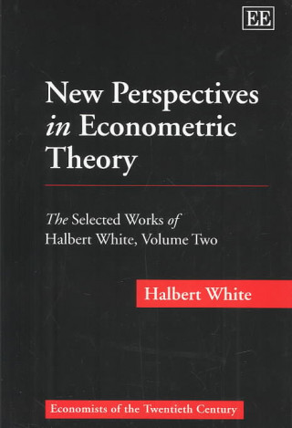 New Perspectives in Econometric Theory