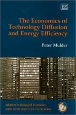 Economics of Technology Diffusion and Energy Efficiency