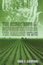 Economics of Deforestation in the Amazon
