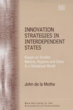 Innovation Strategies in Interdependent States