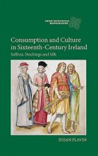 Consumption and Culture in Sixteenth-Century Ireland