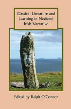 Classical Literature and Learning in Medieval Irish Narrativ