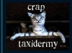 Crap Taxidermy
