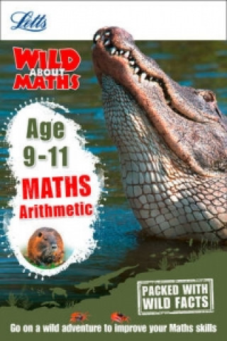 Maths - Arithmetic Age 9-11