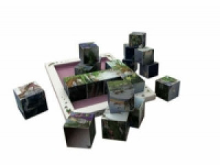 Fairyland Story Puzzle Cubes