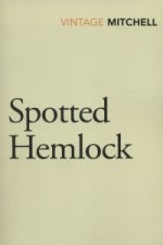 Spotted Hemlock