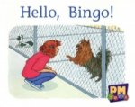Hello, Bingo! PM Gems Magenta Levels 2,3