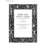 Sheep may safely graze
